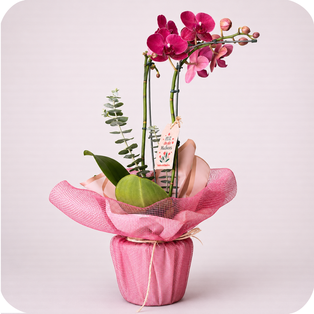 Orqu�dea Presente Especial